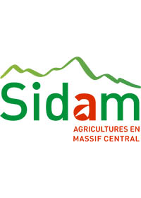 Logo SIDAM